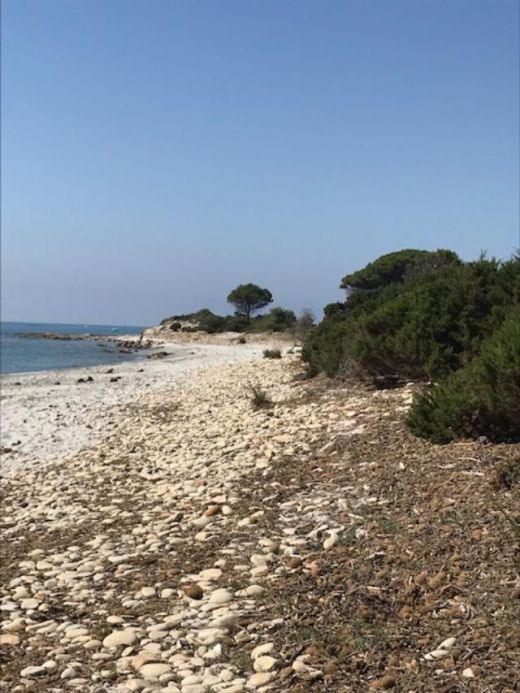 Der Strand von Bidderosa ist eine geschützte Naturoase. 